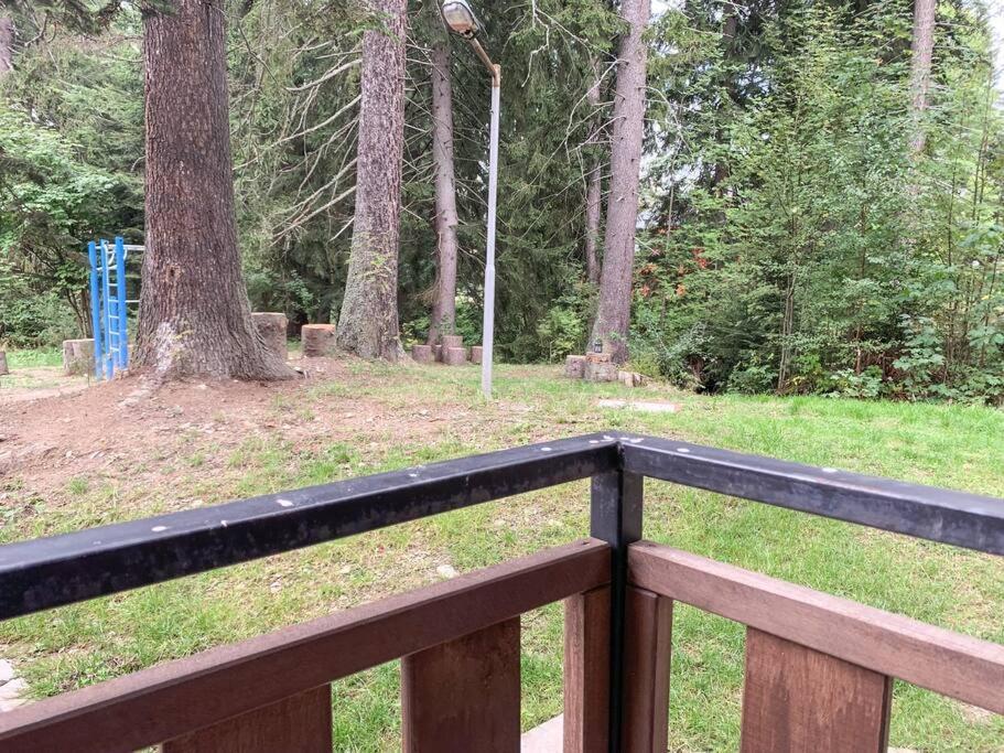 Cozy Riverside Pine Studio E5 Боровец Екстер'єр фото