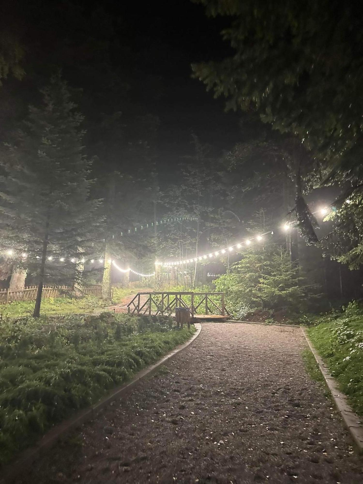 Cozy Riverside Pine Studio E5 Боровец Екстер'єр фото